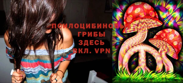 дживик Балабаново