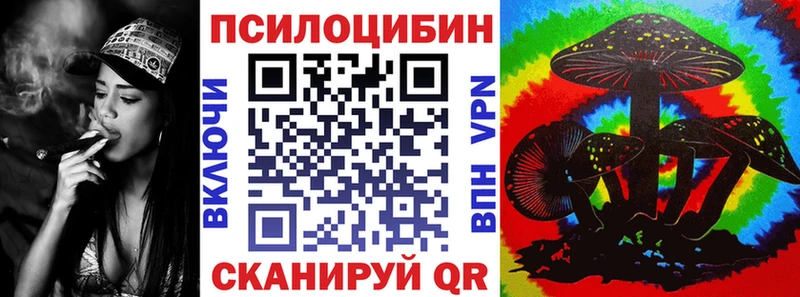 Псилоцибиновые грибы мухоморы  цены наркотик  Новокубанск 